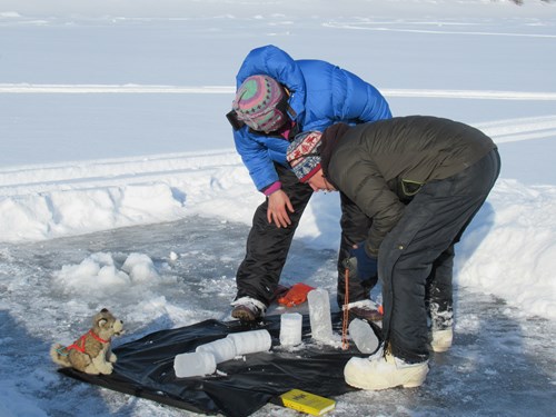 Two scientists (one in a blue coat, the other in a black coat) lean over an ice core that has been broken into chunks on a black cloth. There is a stuffed animal husky for scale.