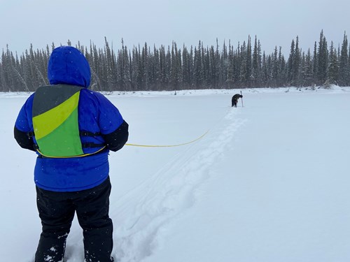 A woman in a blue coat and life jacket holds a throw rope anchored around her waist. The throw rope is attached to a man drilling a hole in river ice approximately 70 feet in the distance. They are testing ice thickness.