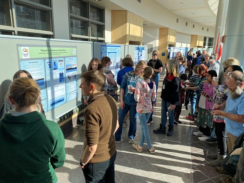 Students and educators mingle around a poster session in a sunny hallway