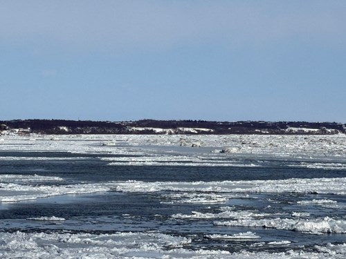 Large chunks of pancake ice float down a wide river