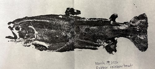 A gyotaku (fish print) of a rubber rainbow trout. March 17, 2026.
